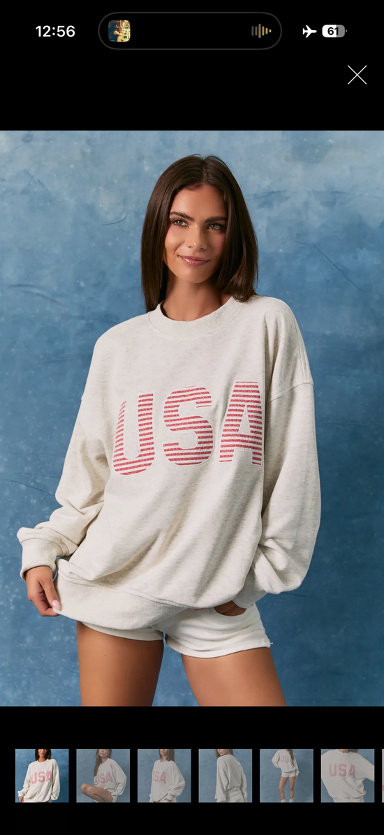 USA crewneck sweater - LT Gray