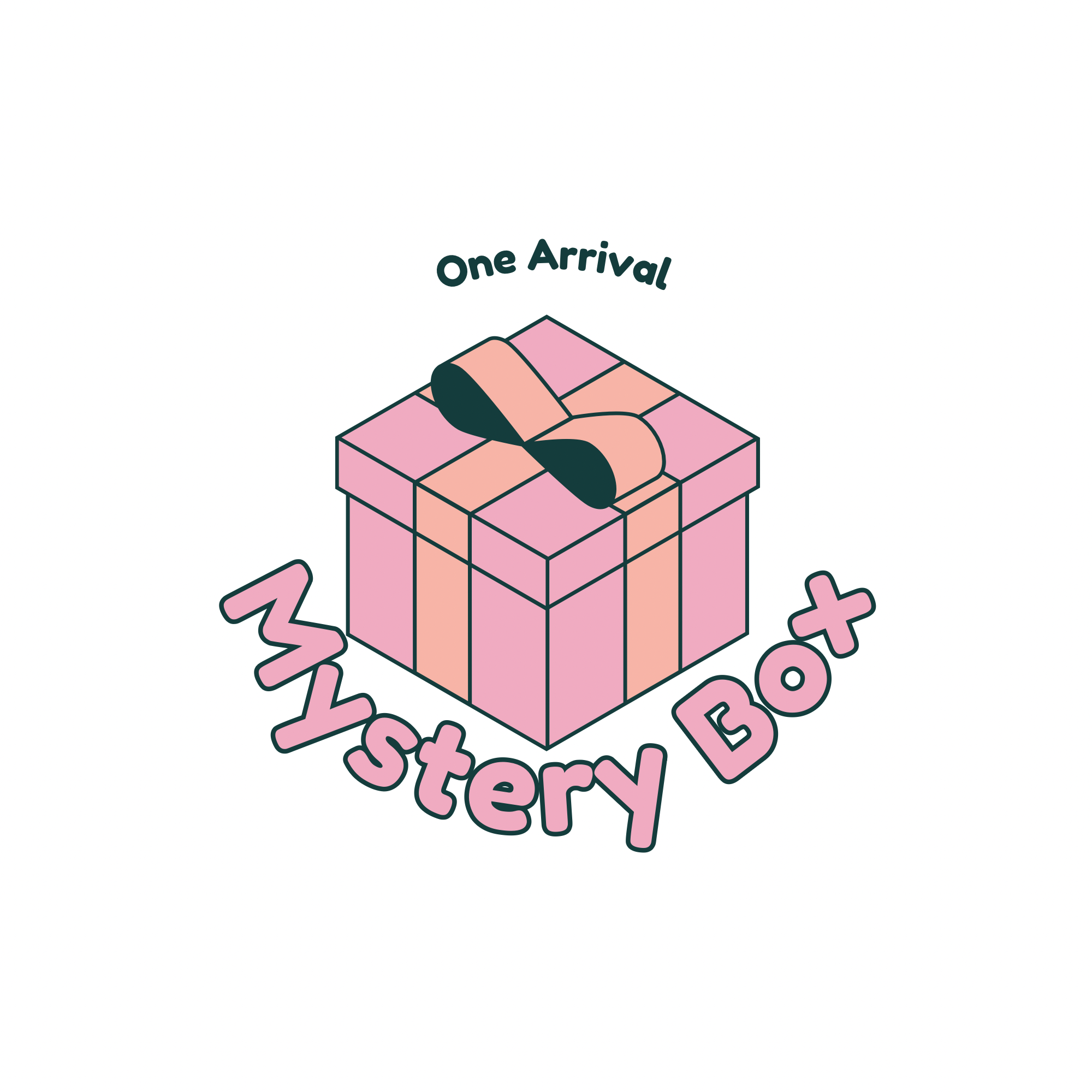 2 Item - Mystery Box *Final Sale*